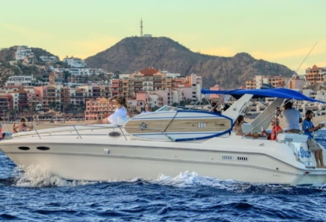 activity.data.myDream33Footer.name